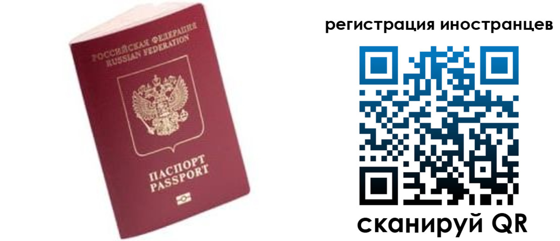 прописка гарантия в Фрязино